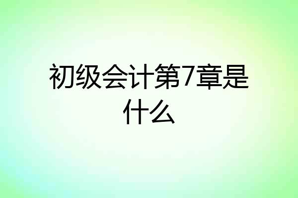 初级会计第7章是什么