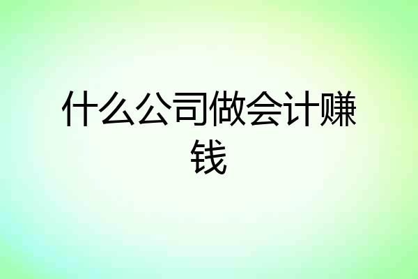 什么公司做会计赚钱