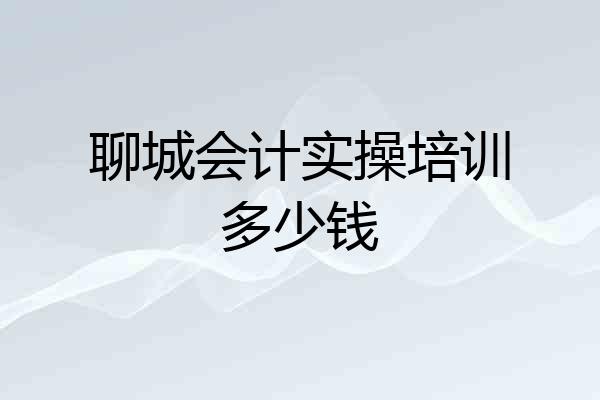 聊城会计实操培训多少钱