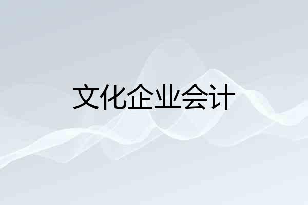 文化企业会计