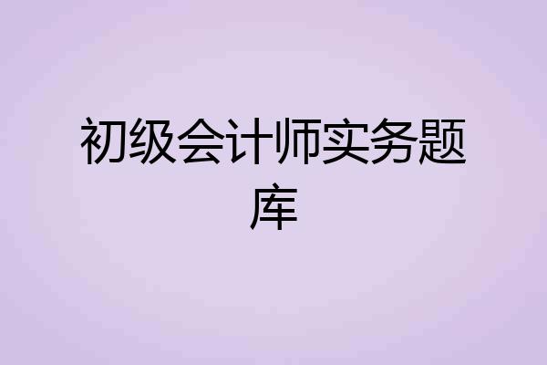 初级会计师实务题库