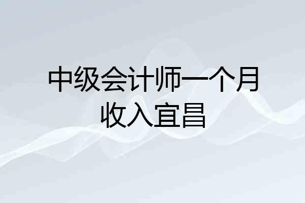 中级会计师一个月收入宜昌