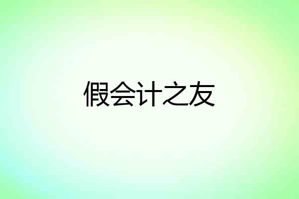 假会计之友