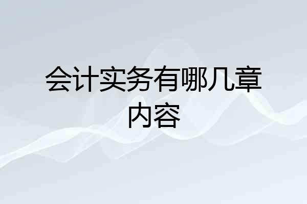 会计实务有哪几章内容