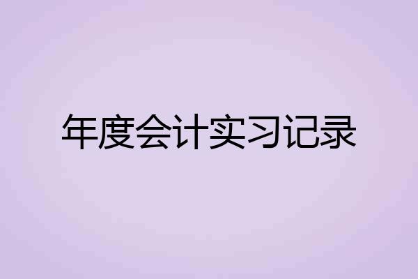 年度会计实习记录