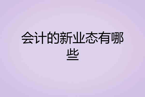 会计的新业态有哪些