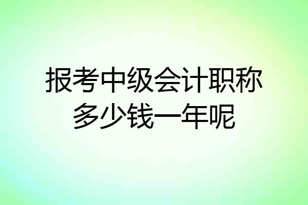 报考中级会计职称多少钱一年呢