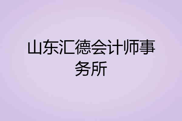 山东汇德会计师事务所