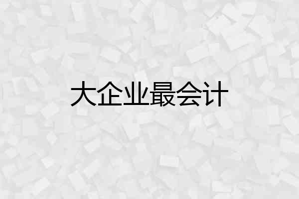 大企业最会计