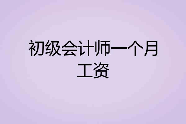 初级会计师一个月工资