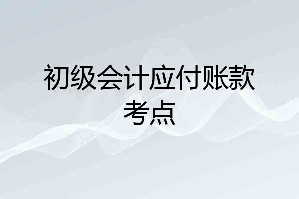 初级会计应付账款考点