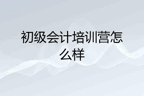 初级会计培训营怎么样
