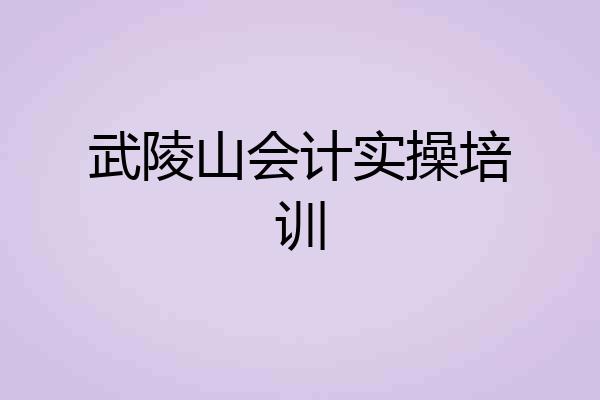 武陵山会计实操培训