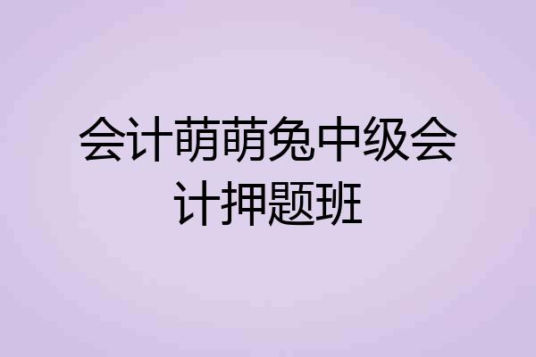 会计萌萌兔中级会计押题班