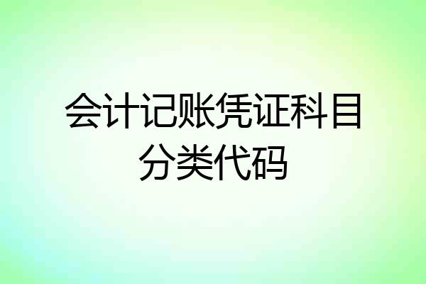 会计记账凭证科目分类代码