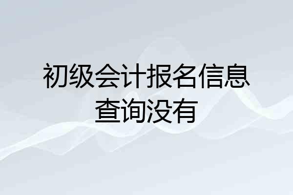 初级会计报名信息查询没有
