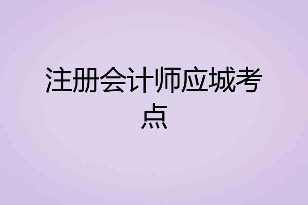 注册会计师应城考点