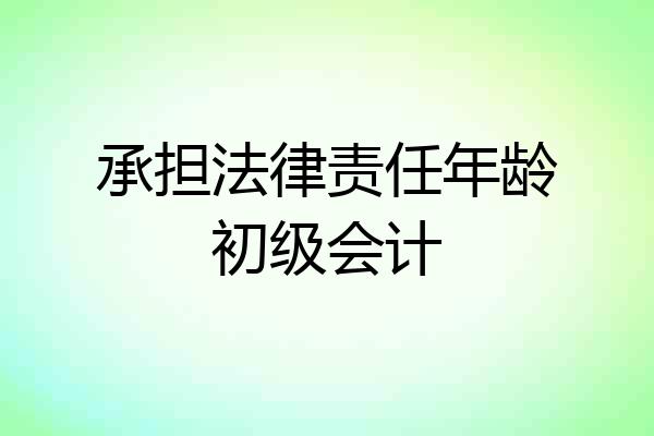 承担法律责任年龄初级会计