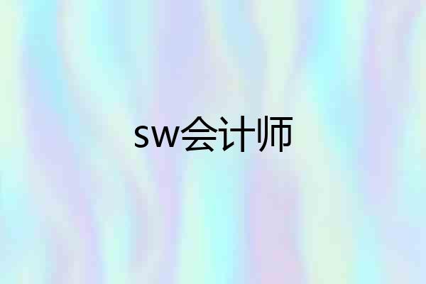 sw会计师