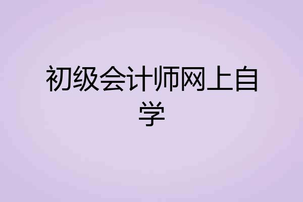 初级会计师网上自学