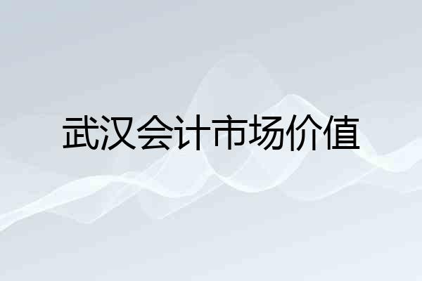 武汉会计市场价值