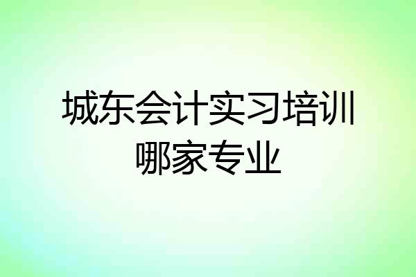 城东会计实习培训哪家专业