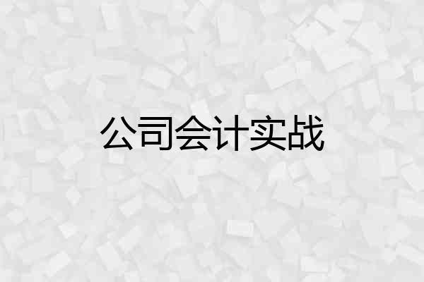 公司会计实战