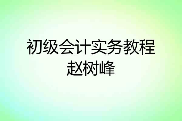 初级会计实务教程赵树峰