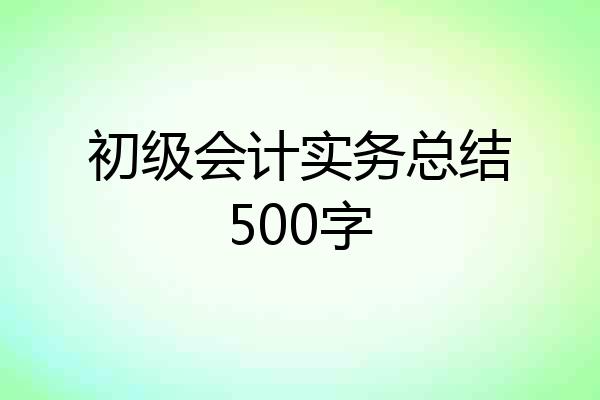 初级会计实务总结500字