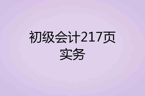 初级会计217页实务