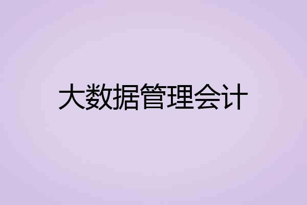 大数据管理会计