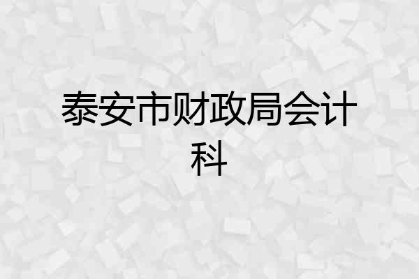 泰安市财政局会计科