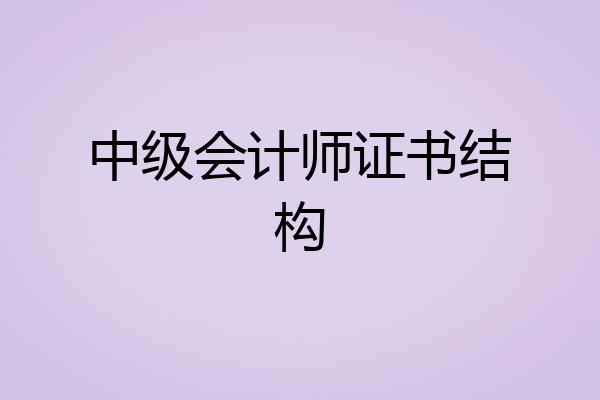 中级会计师证书结构