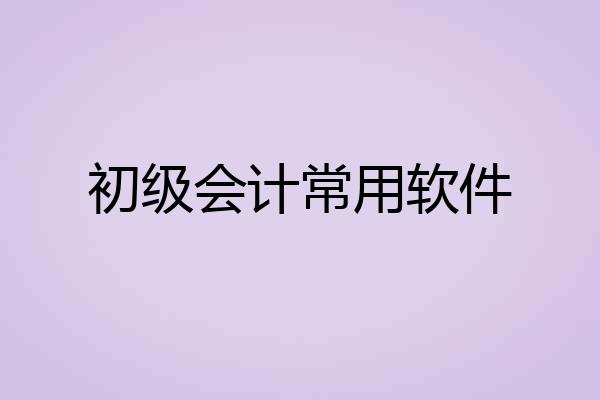 初级会计常用软件