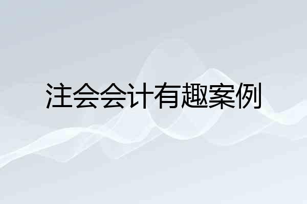 注会会计有趣案例
