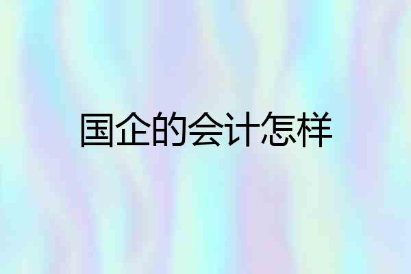 国企的会计怎样