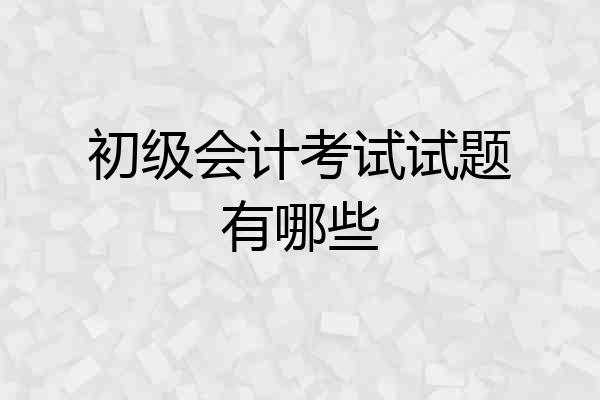 初级会计考试试题有哪些