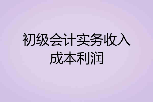 初级会计实务收入成本利润