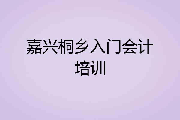 嘉兴桐乡入门会计培训