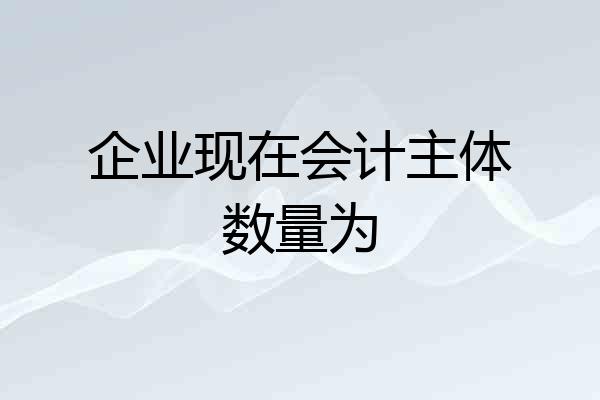 企业现在会计主体数量为
