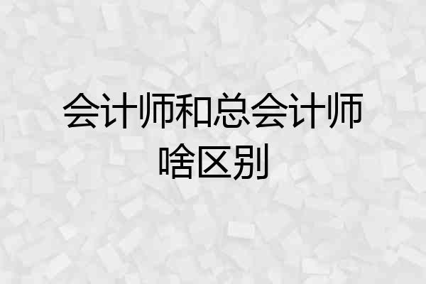 会计师和总会计师啥区别