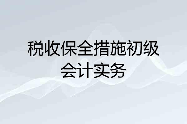 税收保全措施初级会计实务
