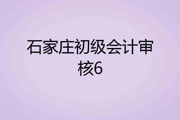 石家庄初级会计审核6