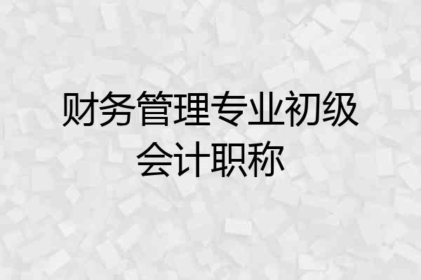 财务管理专业初级会计职称