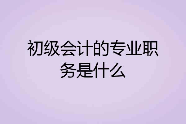 初级会计的专业职务是什么