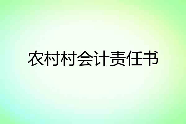 农村村会计责任书