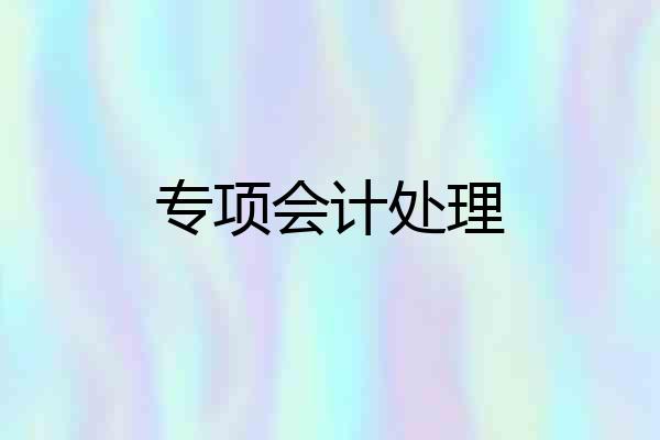 专项会计处理