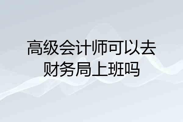 高级会计师可以去财务局上班吗