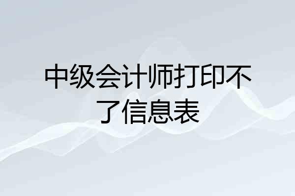 中级会计师打印不了信息表