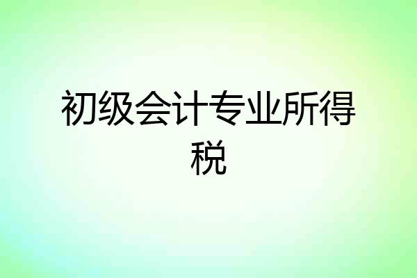 初级会计专业所得税